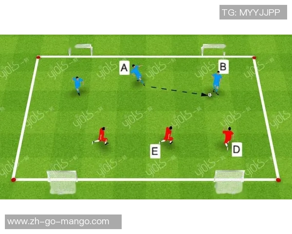 足球完整之道：从基础训练到战术运用的全面解析与实践指南
