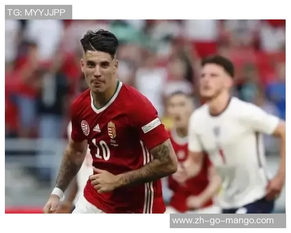 辛宁足球队奋勇拼搏再创辉煌努力追逐梦想的青春故事与团队精神