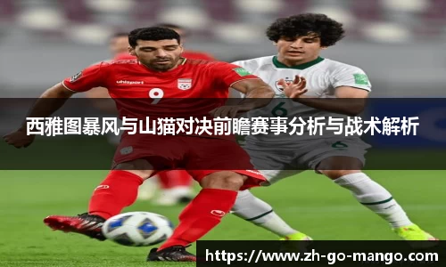 西雅图暴风与山猫对决前瞻赛事分析与战术解析