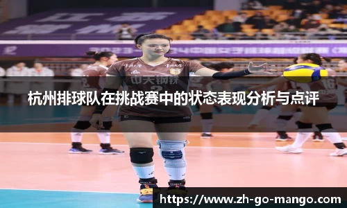 芒果体育官网入口