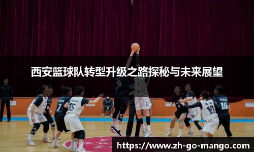 西安篮球队转型升级之路探秘与未来展望
