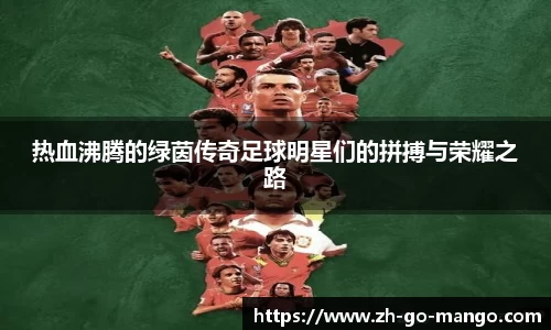 热血沸腾的绿茵传奇足球明星们的拼搏与荣耀之路