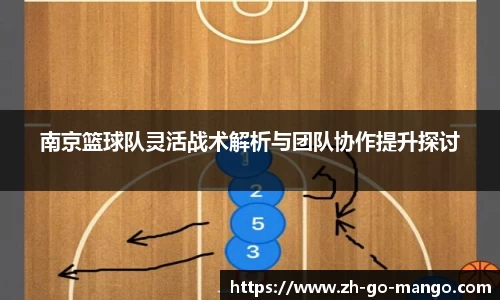 南京篮球队灵活战术解析与团队协作提升探讨
